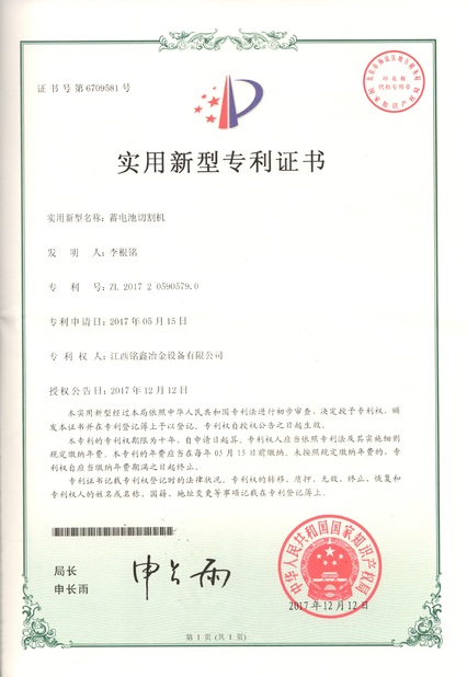 China Jiangxi Mingxin Metallurgy Equipment Co., Ltd. zertifizierungen